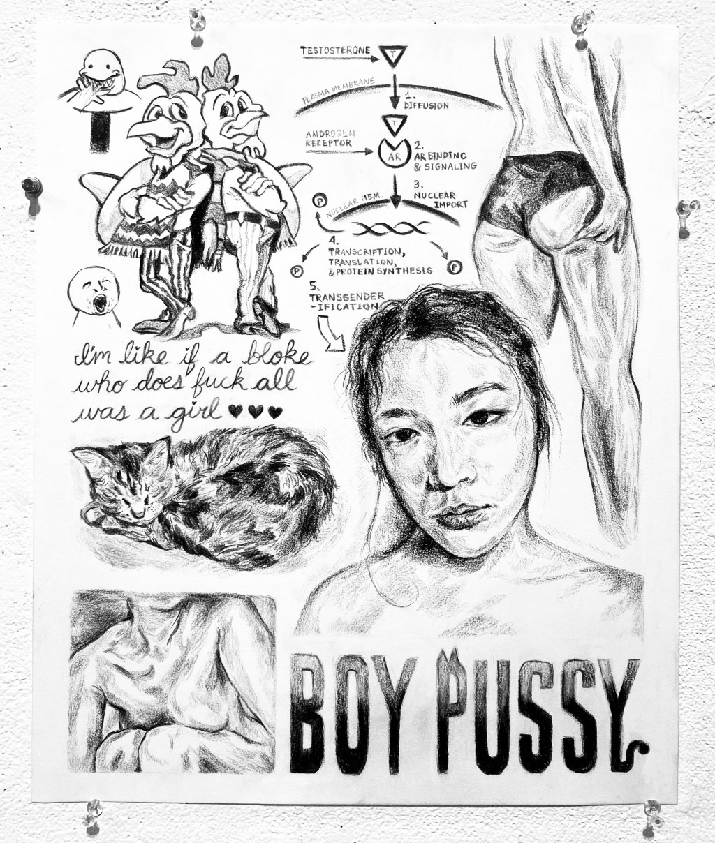 Los Pronouns Hormones